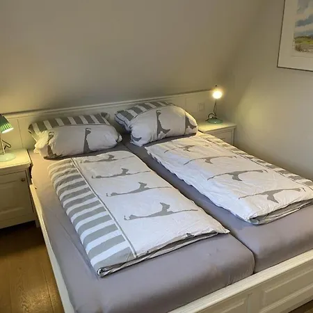 Gaadt Sternchen Comfortable *